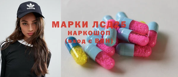 индика Абинск
