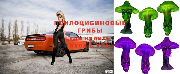 а пвп мука Абаза