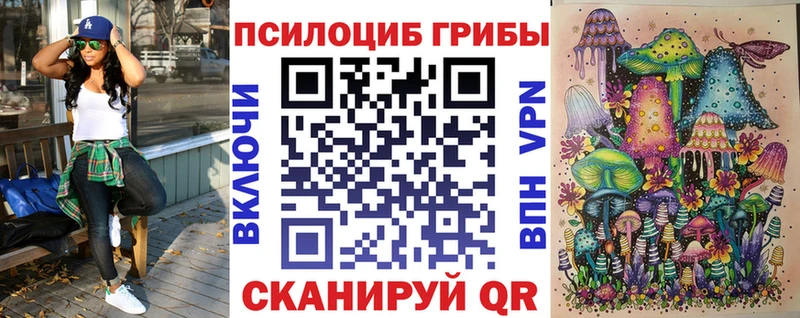 Псилоцибиновые грибы Psilocybine cubensis  Бирюсинск 